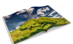 magazine-2614854_1920